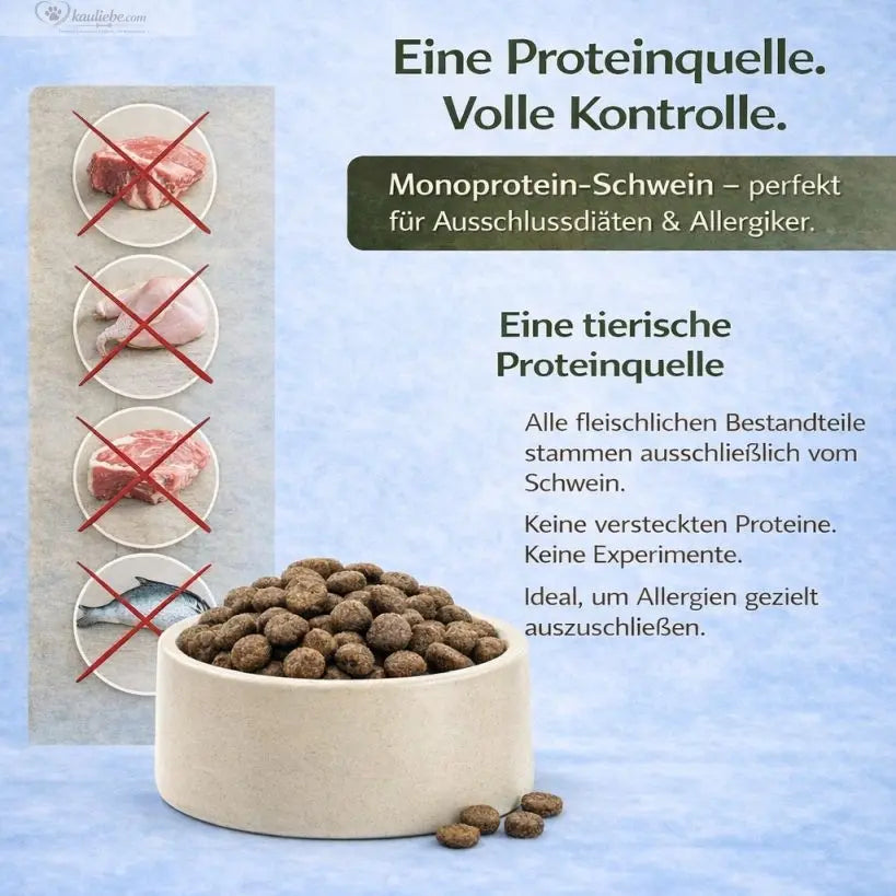 Hypoallergenes Schweinefleisch mit frischem Gemüse von NANDOO, frisch zubereitet und appetitlich angerichtet.