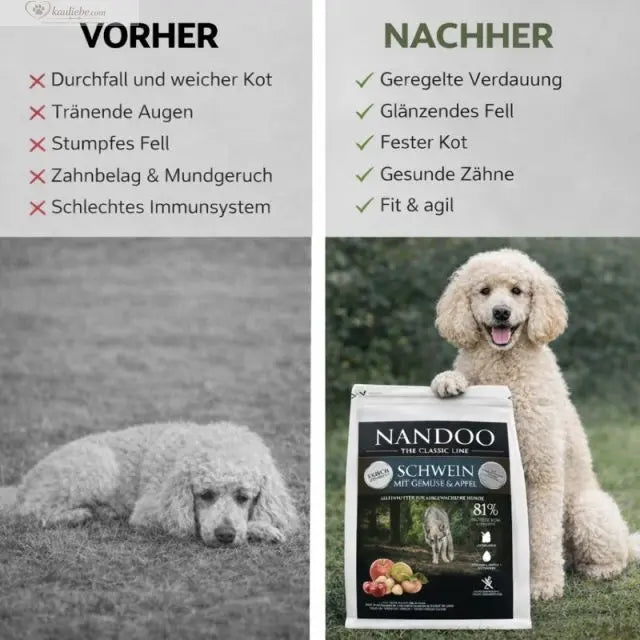 Schwein & Gemüse NANDOO