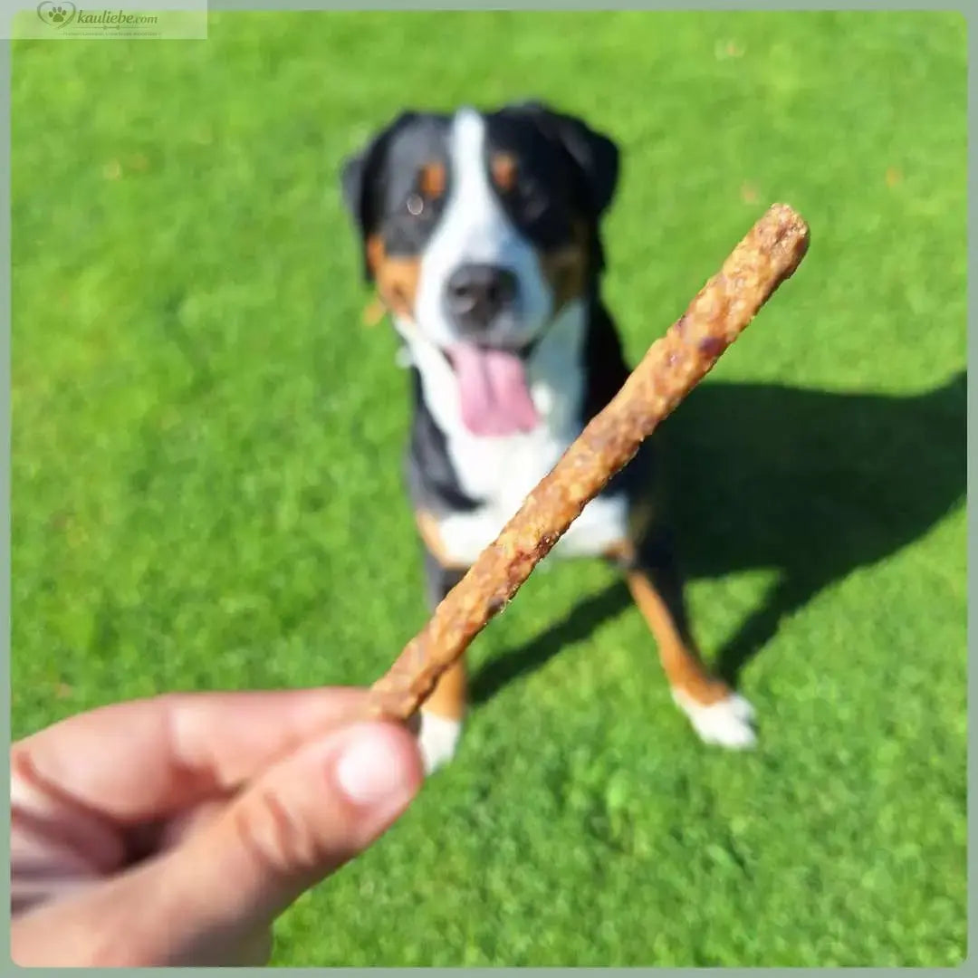 NANDOO Putensticks, 250g, knusprige Putenfleischsticks auf weißem Hintergrund, ideal als Snack oder Proteinquelle