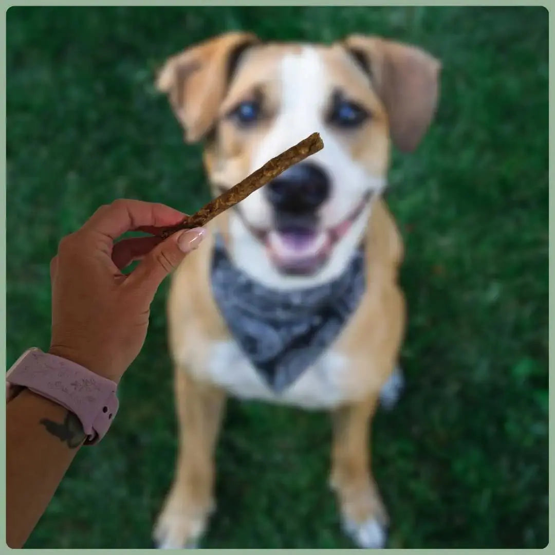 Hirschsticks von NANDOO, 250g Packung, naturbelassen und saftig, ideal als Snack oder Fleischersatz.