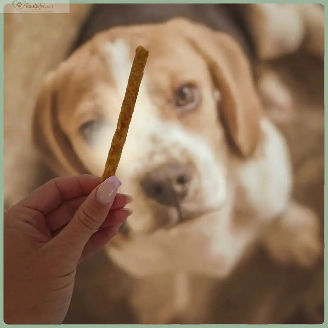 Sticks Kaninchen 250g NANDOO