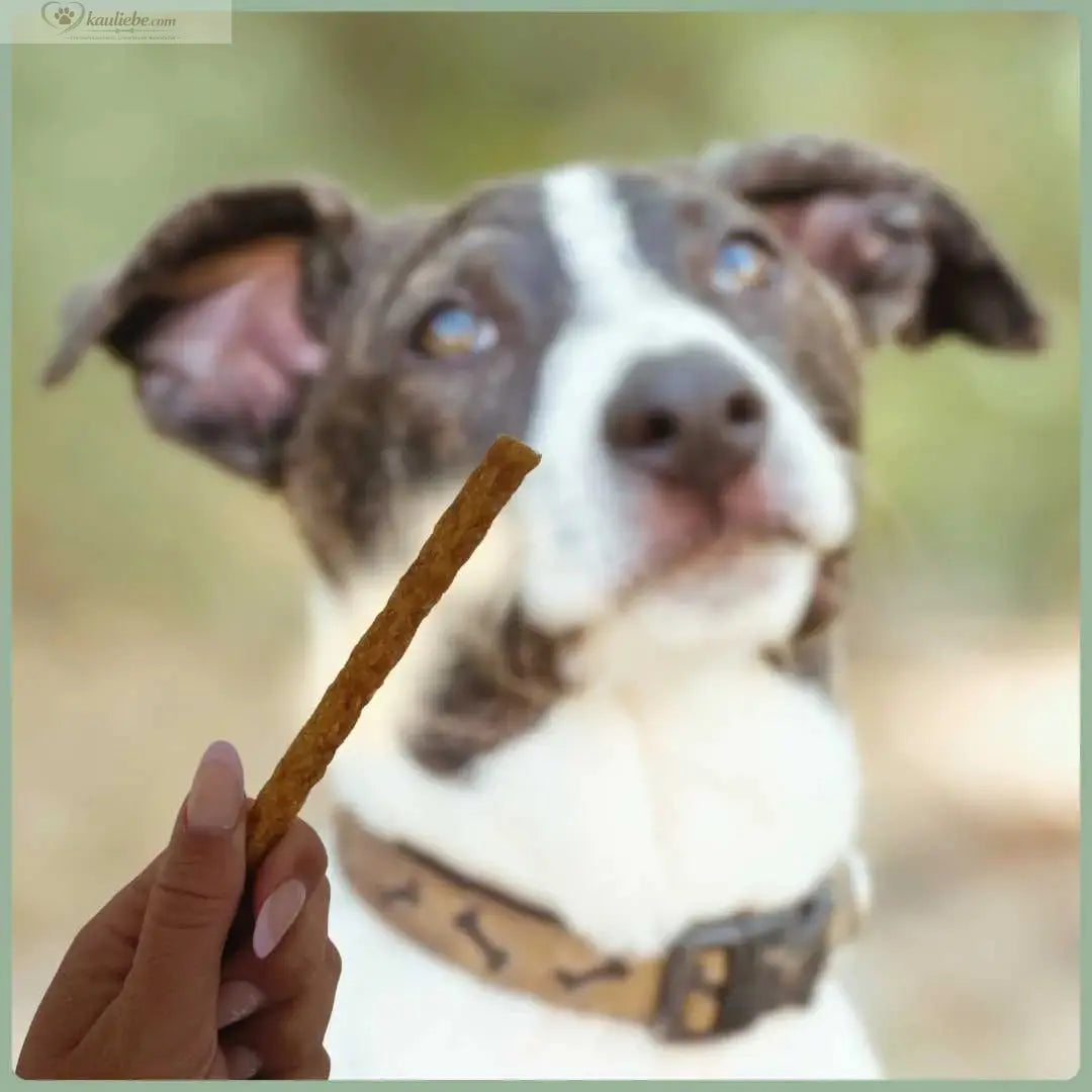 Sticks Lamm 250g NANDOO