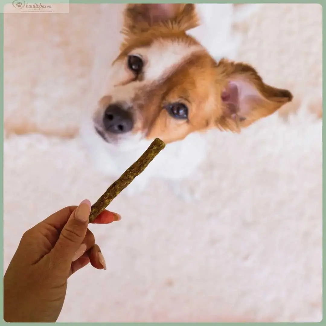 Sticks Pferd 250g NANDOO