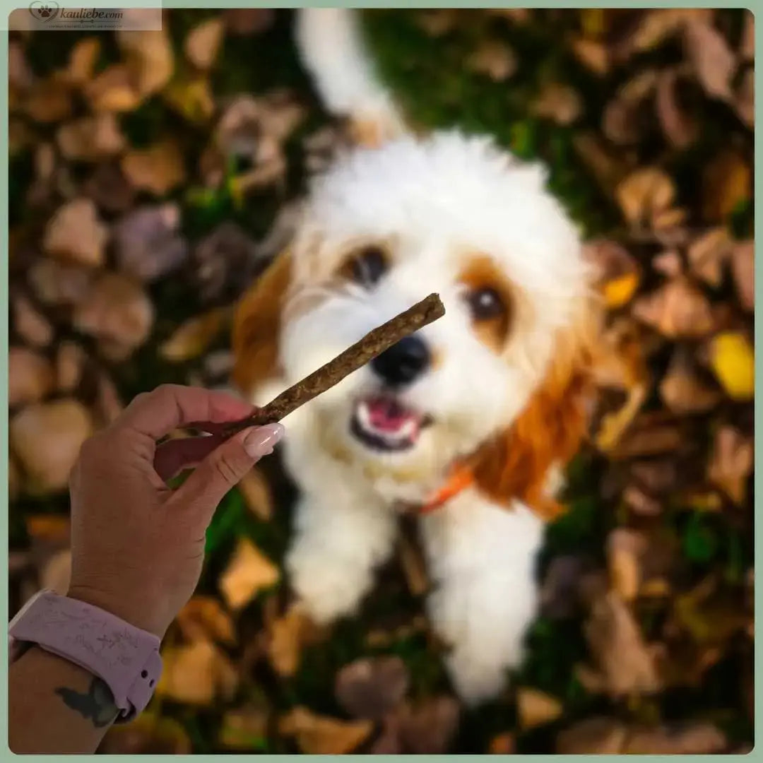 Wildschwein-Sticks von NANDOO, 250g, knusprige Trockenfleisch-Sticks aus Wildschweinfleisch, ideal als Snack oder Appetithappen