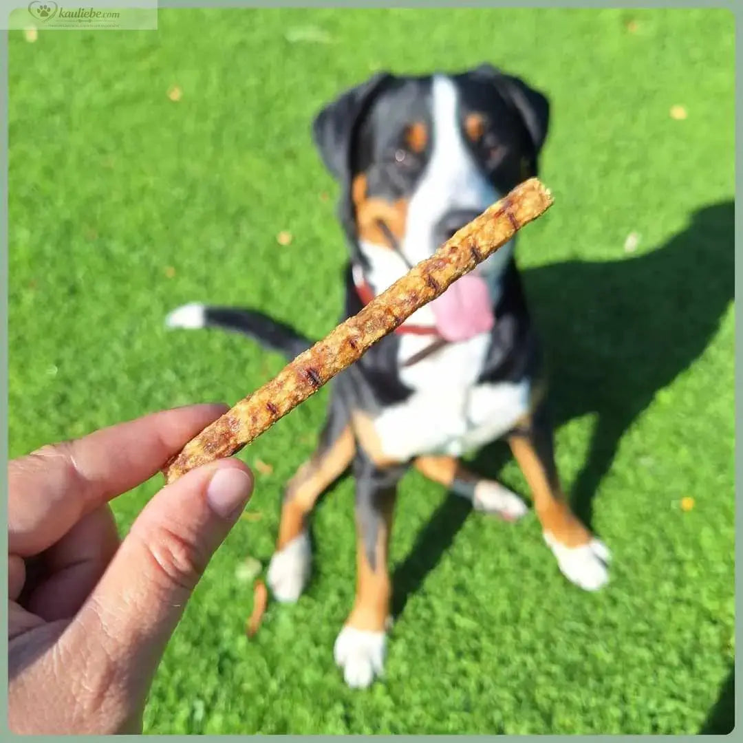 NANDOO Hähnchensticks 250g auf einem Teller, knusprig gebraten, als Snack oder Beilage.