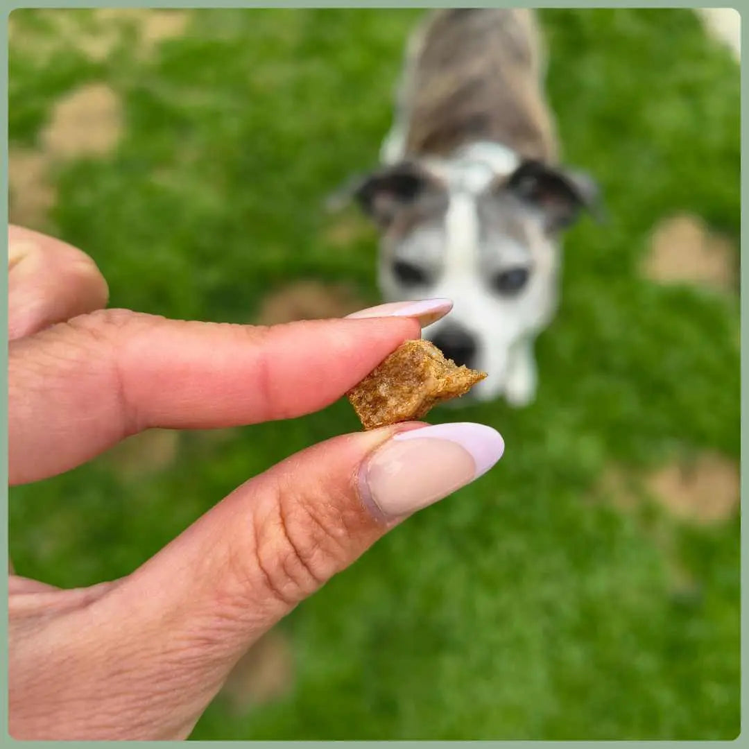 NANDOO Mini Rind Sticks, 200g, ca. 1cm, knusprige Hundesnacks aus Rindfleisch, ideal für Hundetraining und Belohnung