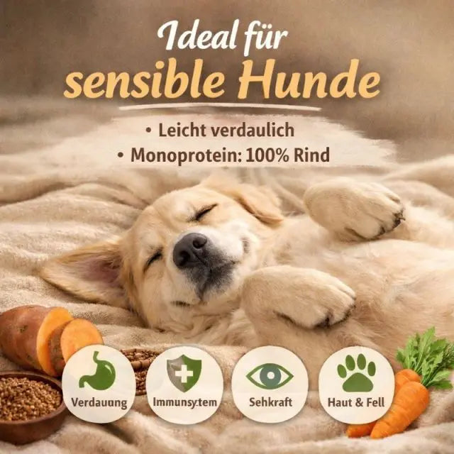 Angus Rind & Gartengemüse NANDOO