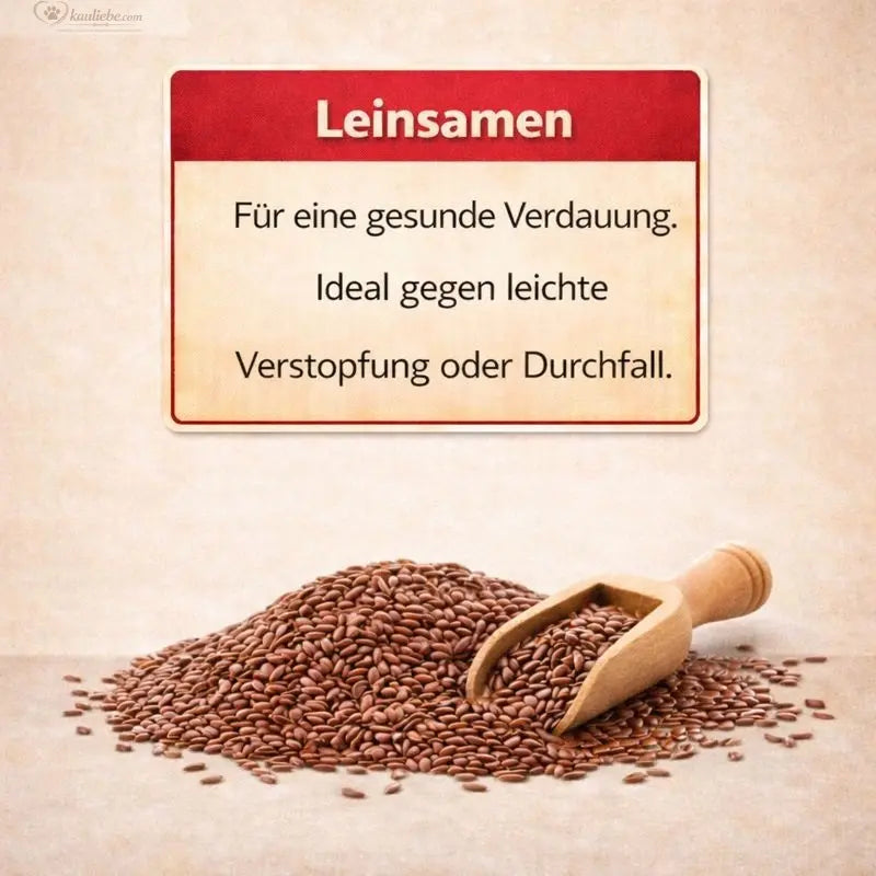 Truthahn, Süßkartoffel & Preiselbeere (Senioren) NANDOO