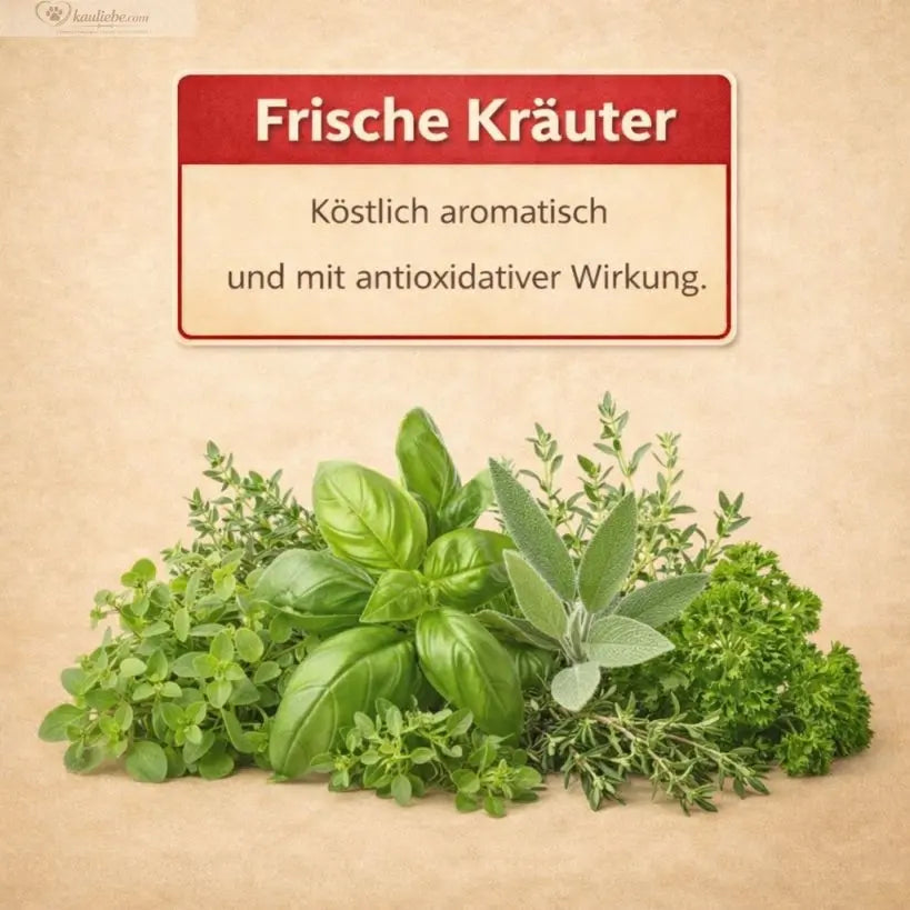 Huhn & Gartenkräutern NANDOO