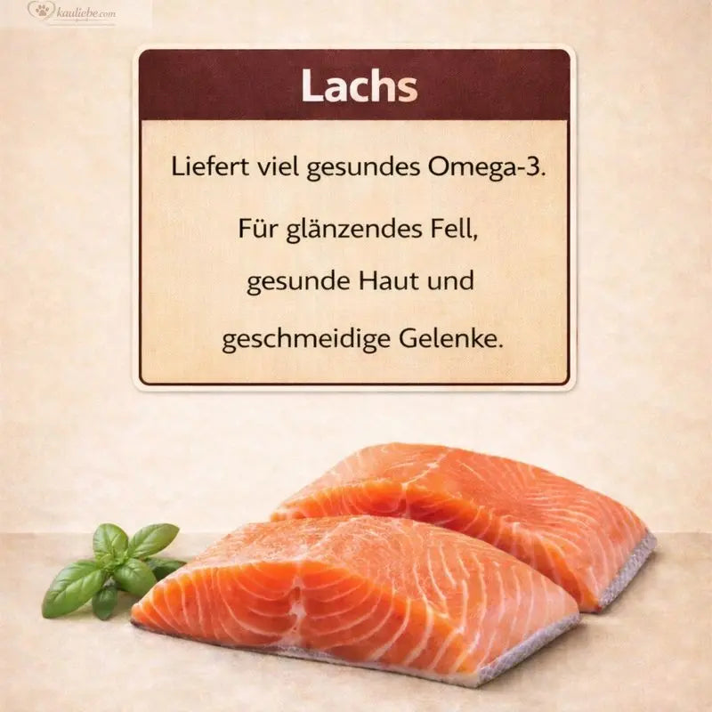 NANDOO Trockenfutter für Welpen mit 60% Huhn, Truthahn, Lachs und Gemüse, kleine Kroketten, nährstoffreich und schmackhaft.