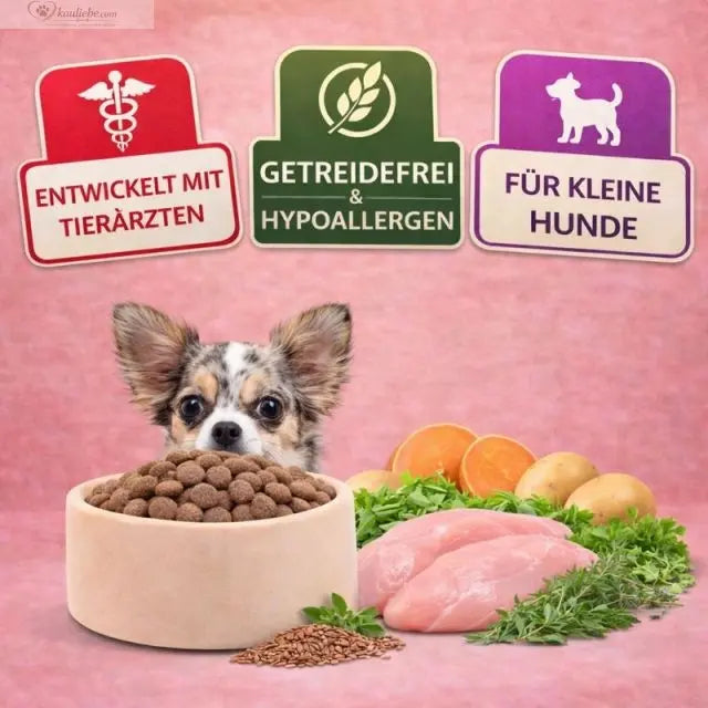 Huhn & Süßkartoffel (kleine Rassen) NANDOO