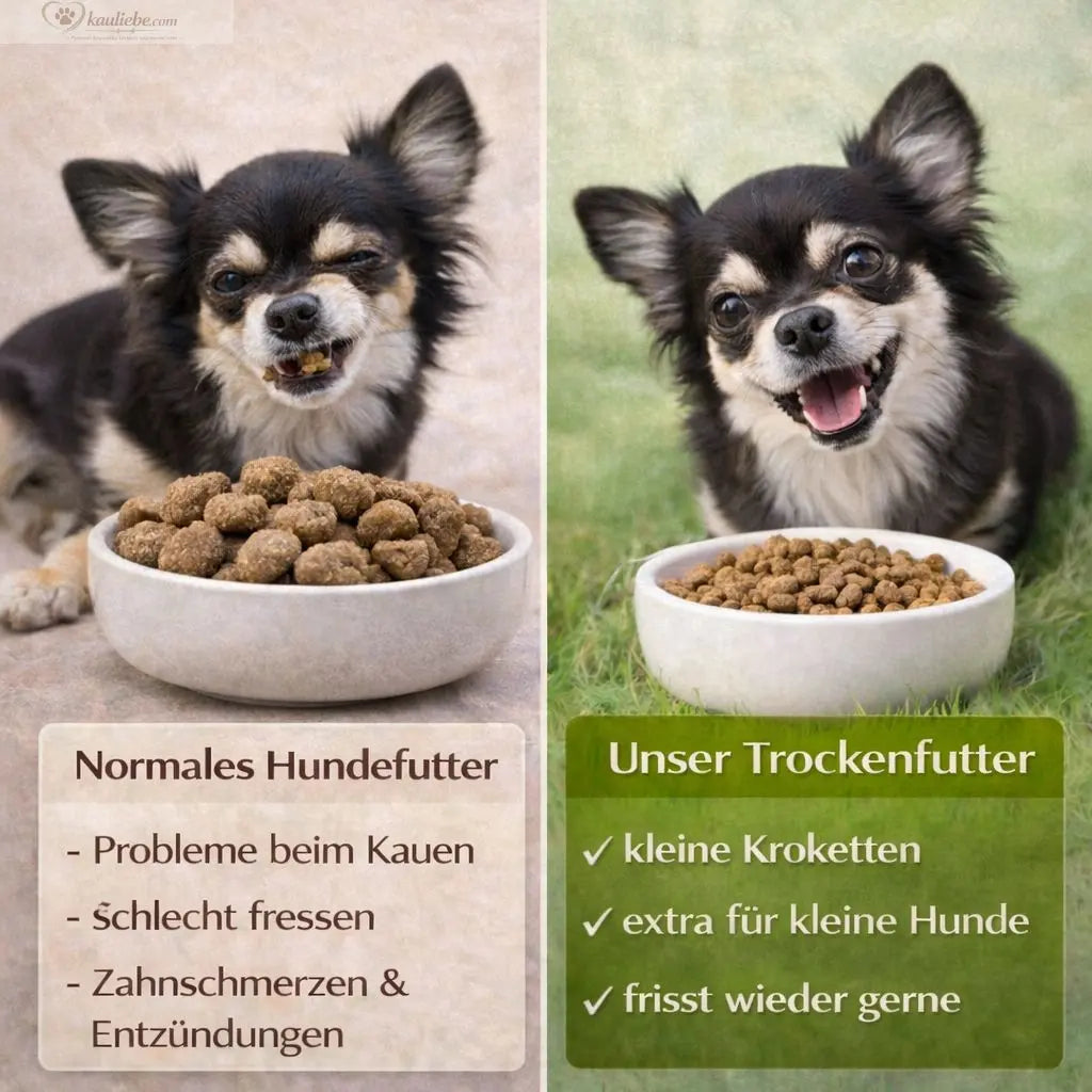 Huhn & Süßkartoffel (kleine Rassen) NANDOO