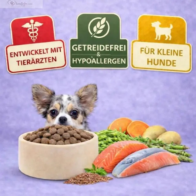 NANDOO Trockenfutter für kleine Rassen mit Lachs, Forelle und Süßkartoffeln, zeigt die Futterbuttons in der Verpackung