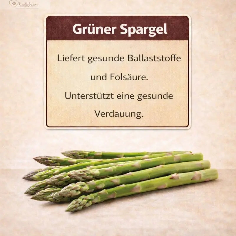 NANDOO Trockenfutter mit Lachs, Forelle und Süßkartoffeln, Hundefutter in einer Schüssel mit frischem Gemüse.
