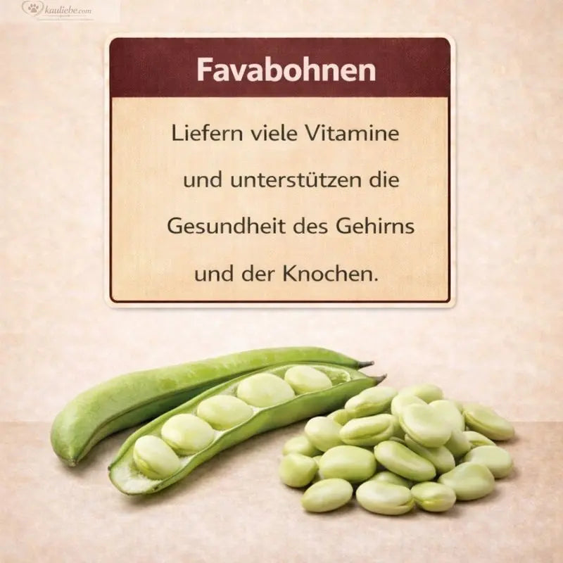 Trockenfutter für Pferde mit Granatapfel und Favabohnen von NANDOO, zeigt eine Schale mit nährstoffreichem Pferdefutter.