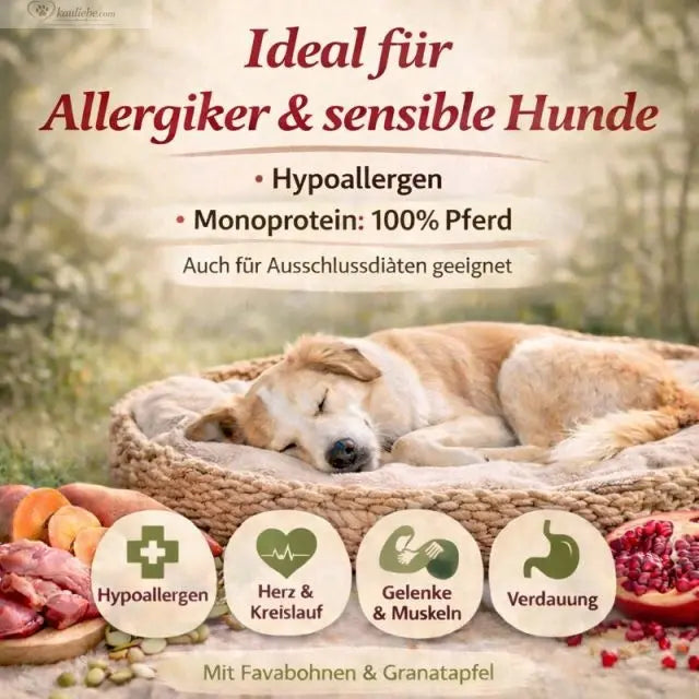 Trockenfutter für Pferde mit Granatapfel von NANDOO, gesundes Pferdefutter für optimale Tiergesundheit