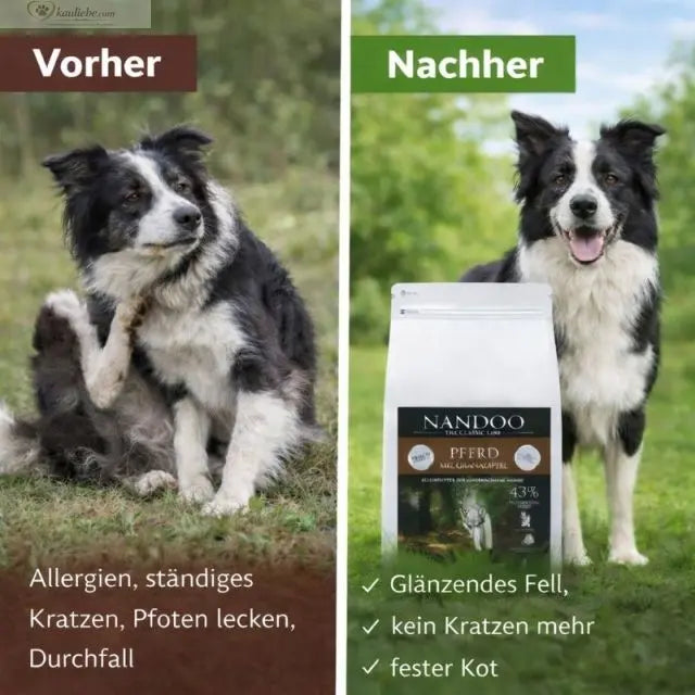 Trockenfutter für Pferde mit Granatapfel von NANDOO, hypoallergenes Pferdefutter in einer offenen Futterschale