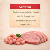 Schwein & Gemüse: Ansicht 4