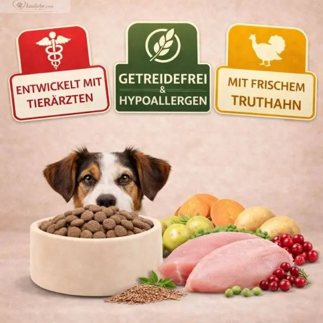 NANDOO Trockenfutter mit Truthahn und Preiselbeeren, knusprige Futterbuttons für Hunde, in einer Schüssel.