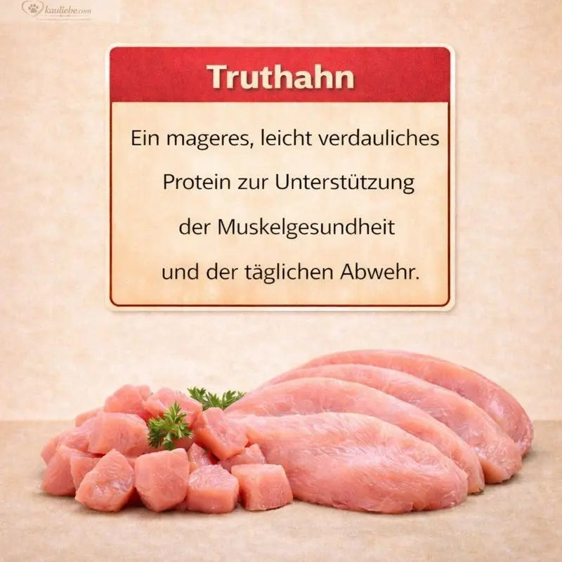 Nandoo Trockenfutter für Welpen mit 60% Truthahn, Huhn, Lachs und Gemüse, nährstoffreich und schmackhaft.