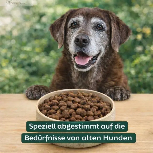 NANDOO Trockenfutter für Senioren mit Truthahn, Süßkartoffel und Preiselbeeren, zeigt die Schüssel mit Trockenfutter.