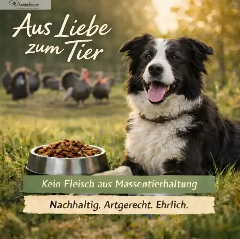 Truthahn & Preiselbeeren NANDOO