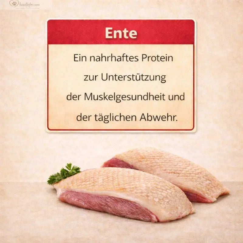 NANDOO Welpenfutter mit Geflügel, Gartenkräutern und Gemüse, enthält 60% Pute und Ente, für kleine Rassen, in einer Schüssel.
