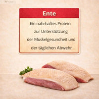 Geflügel mit Gartenkräutern & Gemüse (mit 60% von Pute & Ente) - kleine Rassen: Ansicht 4