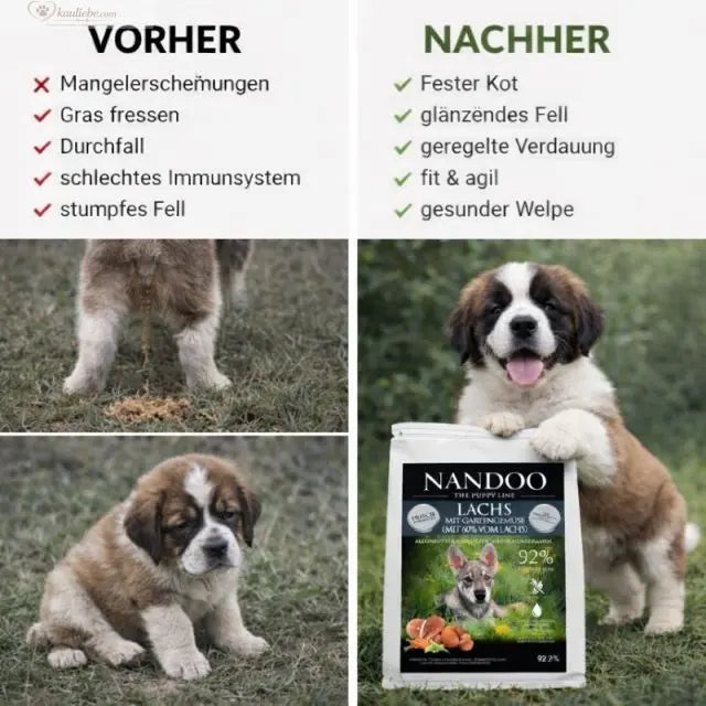 Lachs mit Gartengemüse (Welpen große Rassen) NANDOO
