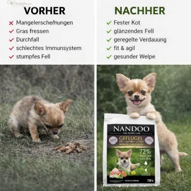 NANDOO Welpenfutter für kleine Rassen mit Geflügel, Gartenkräutern und Gemüse, enthält 60% Pute und Ente, frisches Hundefutter