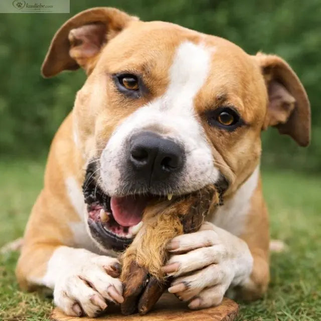 Ziegenfüße mit Fell 1 Stück NANDOO