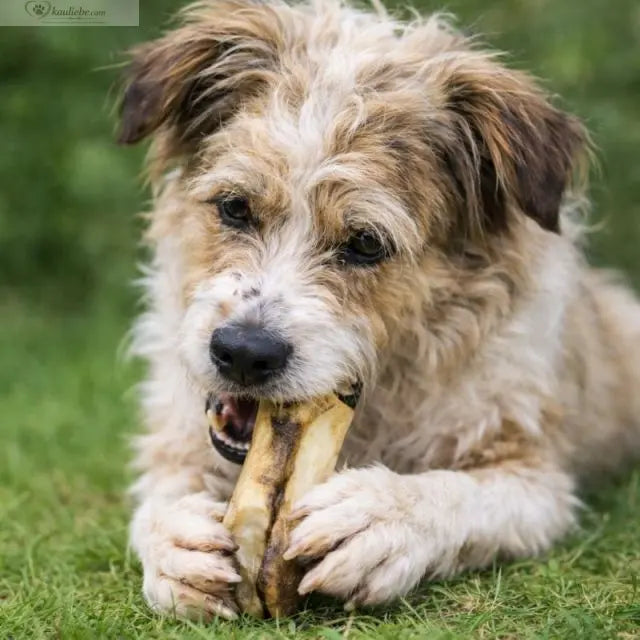 Ziegenfüße 1 Stück NANDOO