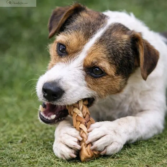 Ziegenhaut Zopf von NANDOO, 250g, frischer Hundesnack aus Ziegenhaut, naturbelassen, ideal für Hunde.