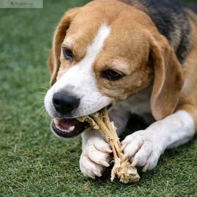 Ziegenkopfhaut für Hunde, 250g, von NANDOO, zeigt die knusprige, getrocknete Ziegenhaut in der Verpackung