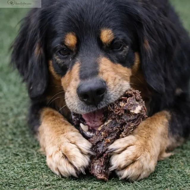 Ziegenlunge flach 250g NANDOO