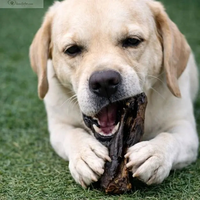 Ziegenlunge 250g NANDOO