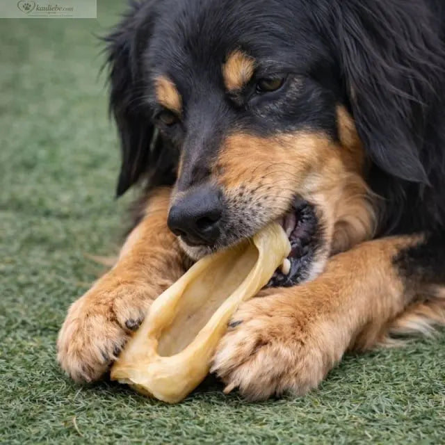 Getrocknete Ziegenohren für Hunde, 250g, von NANDOO, knusprige und natürliche Hundesnacks.