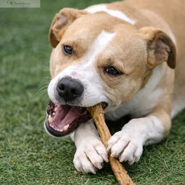 Ziegenziemer Hund, 250g, naturbelassenes Kauartikel für Hunde, von NANDOO, detailreiche Ansicht der Ziegenziemer.