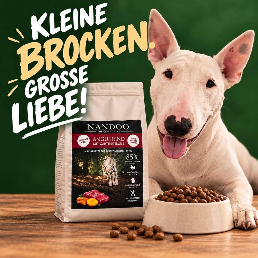 Bullterrier neben einem NANDOO Angus Rind Trockenfutter und einem gefüllten Napf von kauliebe.